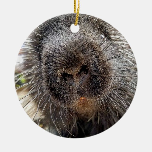 Rox 2016 ceramic tree decoration (Front)