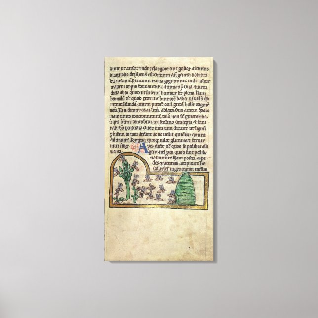 Roy Page of text with illustration of Canvas Print (Front)