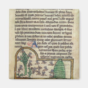 Roy Page of text with illustration of Magnet