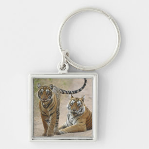 Royal Bengal Tiger and young, Ranthambhor Key Ring