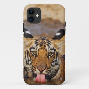 Royal Bengal Tiger cub, drinking water Case-Mate iPhone Case