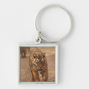 Royal Bengal Tigers on the track, Ranthambhor Key Ring
