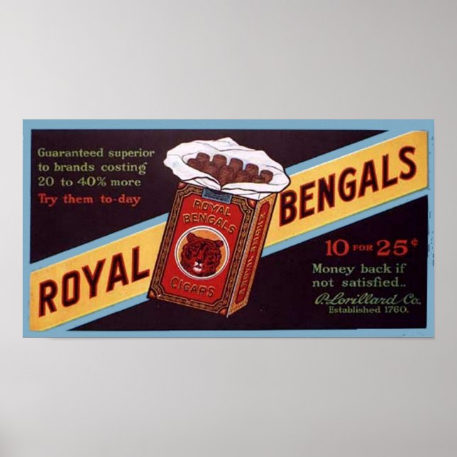 Royal Bengals Poster (Front)