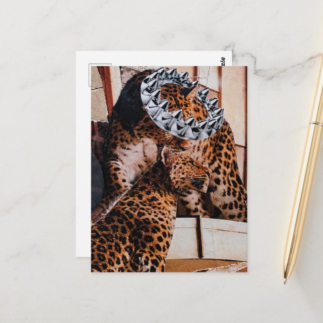 Royal Big Cats Collage Postcard (Front/Back In Situ)