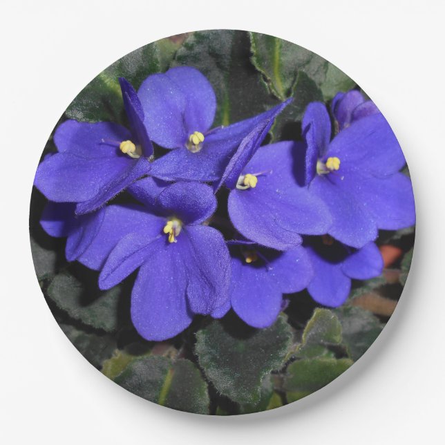 Royal Blue African Violet Paper Plate (Front)