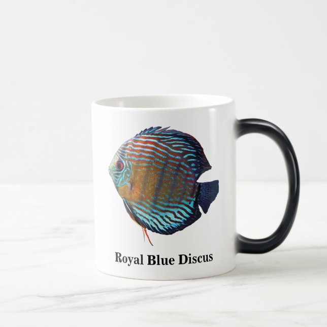 Royal Blue Discus Magic Mug (Right)