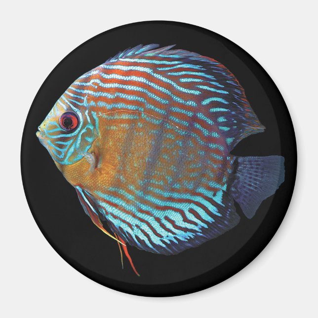 Royal Blue Discus Magnet (Front)
