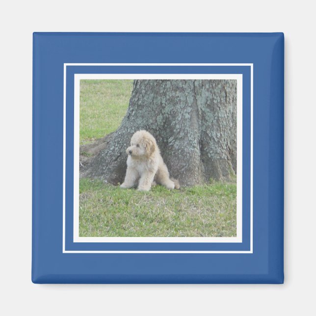 Royal Blue White Modern Photo Template  Magnet (Front)