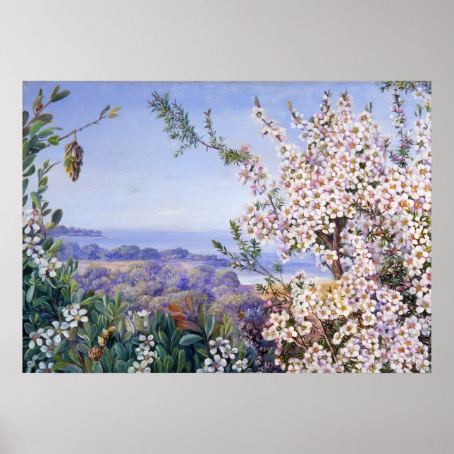 Royal Botanic by Marianne North Poster (Front)