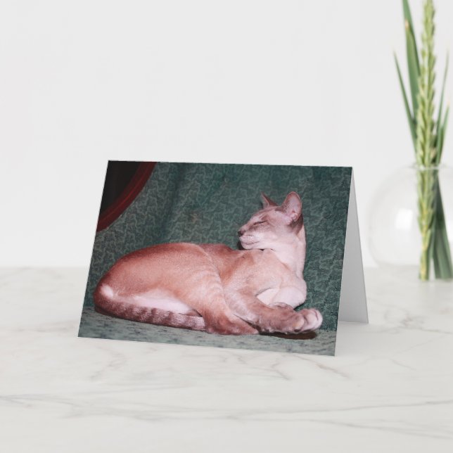 Royal Cat Birthday Card (Front)