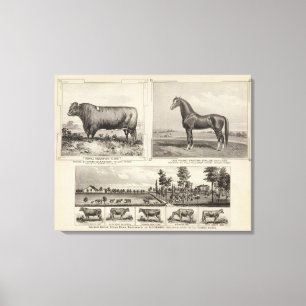 Royal Champion, Joe Young, Kansas Canvas Print