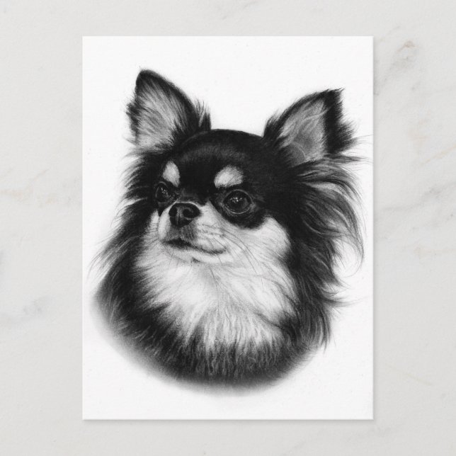 Royal Chihuahua Look - Hand Painted Postcard (Front)
