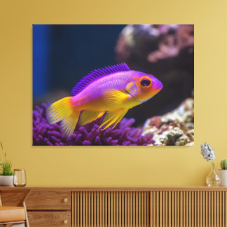 royal gramma basslet fish canvas print