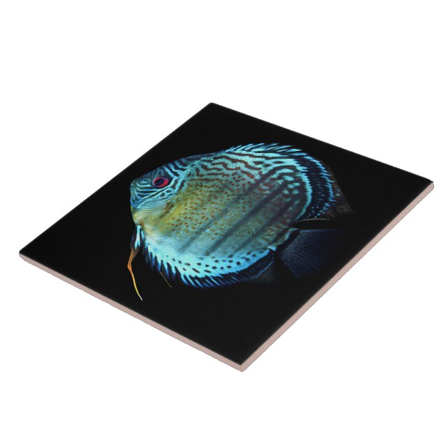 Royal Green Discus Tile (Side)
