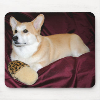 Royal Looking Pembroke Welsh Corgi Mouse Pad