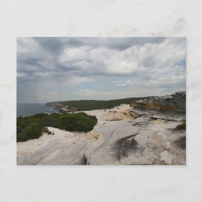 Royal National Park, Australia Postcard (Front)