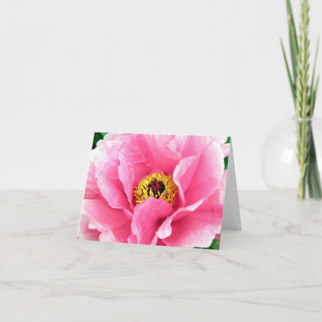 Royal Peony Note Card (Front)