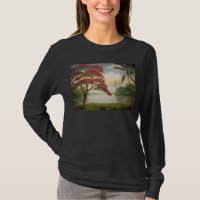 Royal Poinciana (Flamboyant Tree)