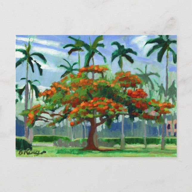 Royal Poinciana postcard (Front)