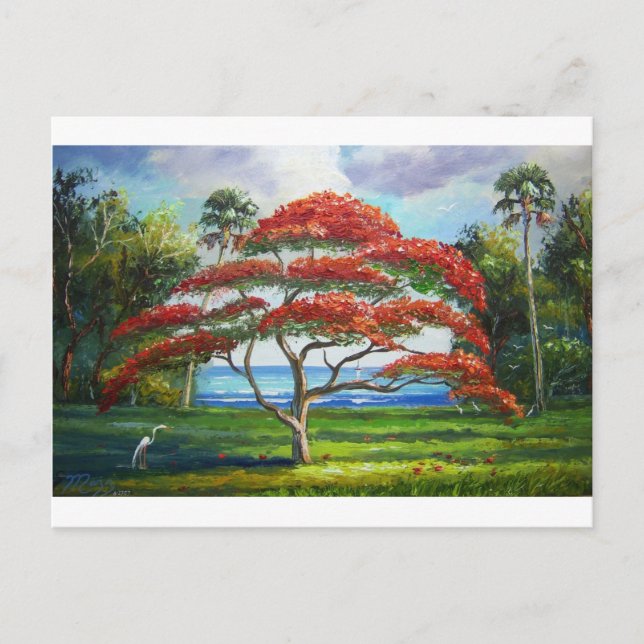 Royal Poinciana Tree Mazz Postcard (Front)