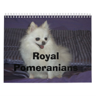 Royal Pomeranians Calendar