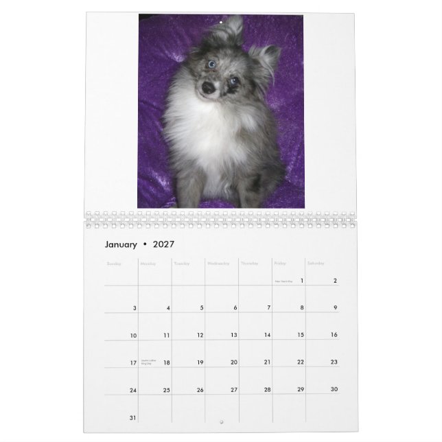 Royal Pomeranians Calendar (Jan 2027)