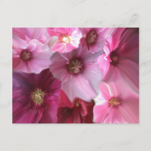 Royal Postcard (Front)