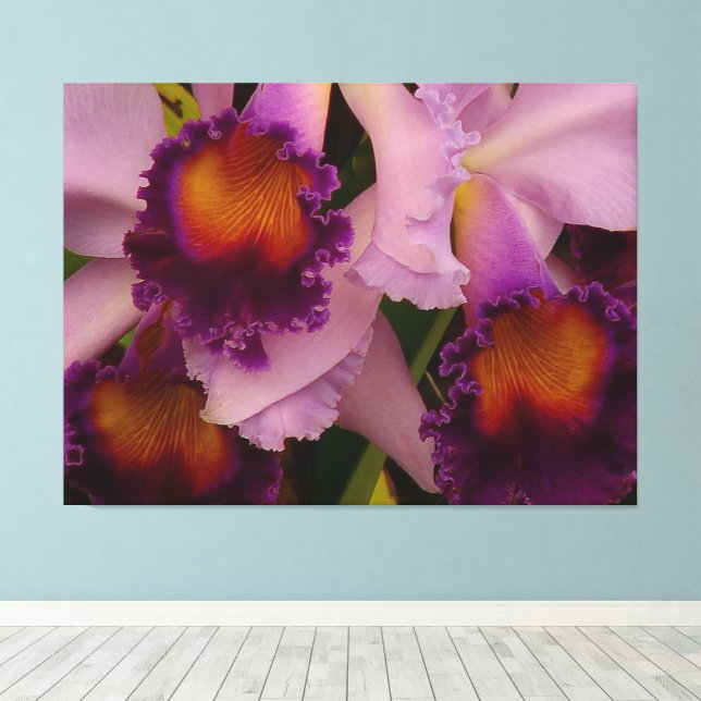 Royal Purple Cattleya Orchid Canvas Print (Insitu(Wood Floor))
