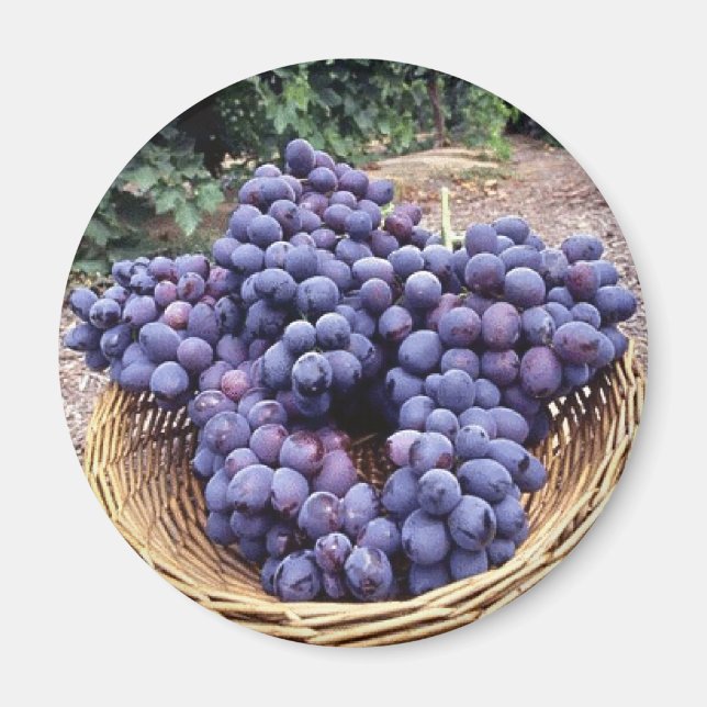 Royal Purple Grapes Magnet (Front)