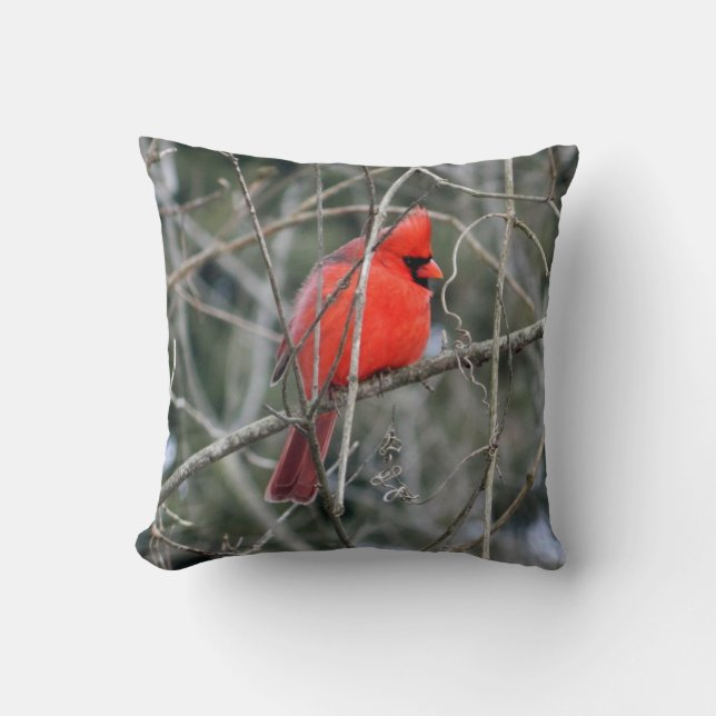 Royal Red Cardinal Pillow (Front)