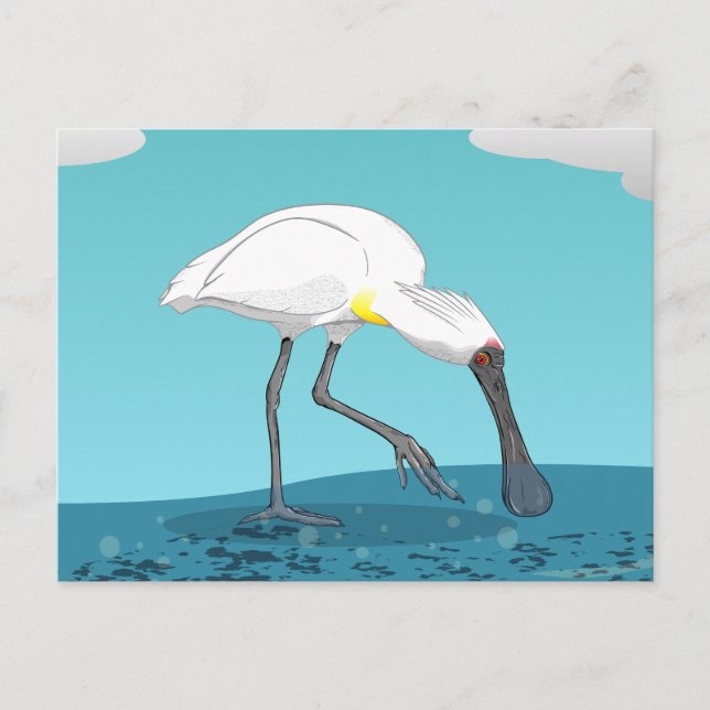 Royal Spoonbill NZ bird Postcard (Front)