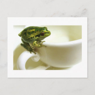 royal teatime postcard