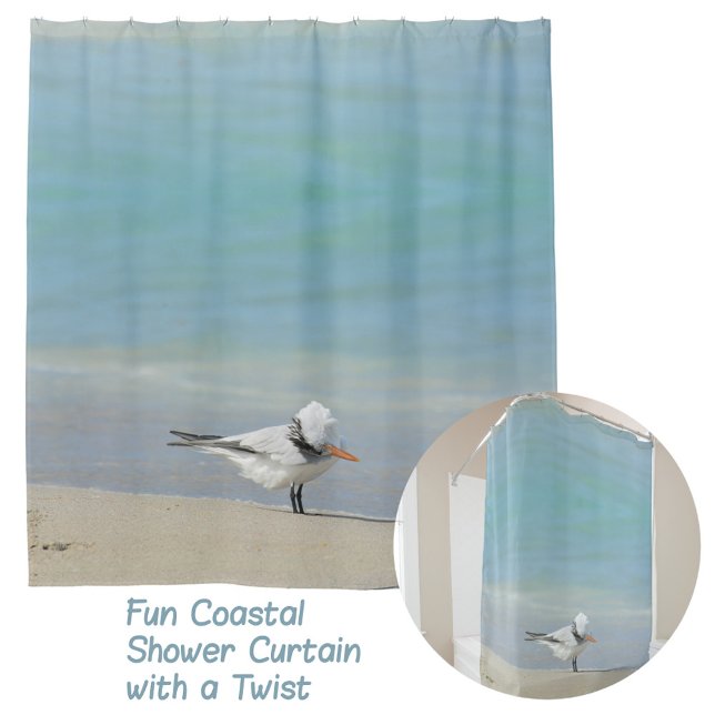 Royal Tern on Beach Photographic Coastal Shower Curtain (Creator Uploaded)