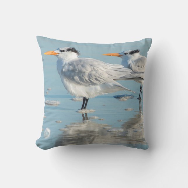 Royal Terns on beach Cushion (Front)