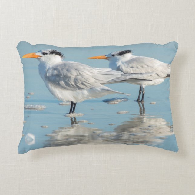 Royal Terns on beach Decorative Cushion (Front)