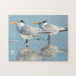 Royal Terns on beach Jigsaw Puzzle