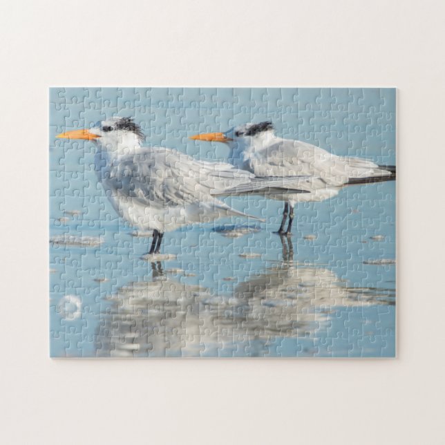 Royal Terns on beach Jigsaw Puzzle (Horizontal)