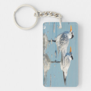 Royal Terns on beach Key Ring