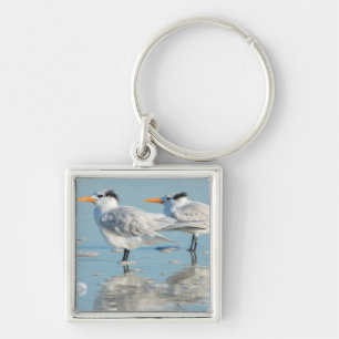 Royal Terns on beach Key Ring