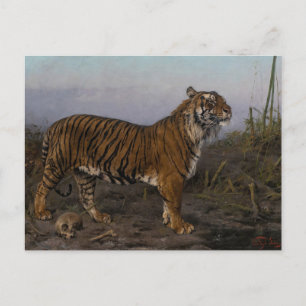 Royal Tiger by Geza Vastagh Postcard