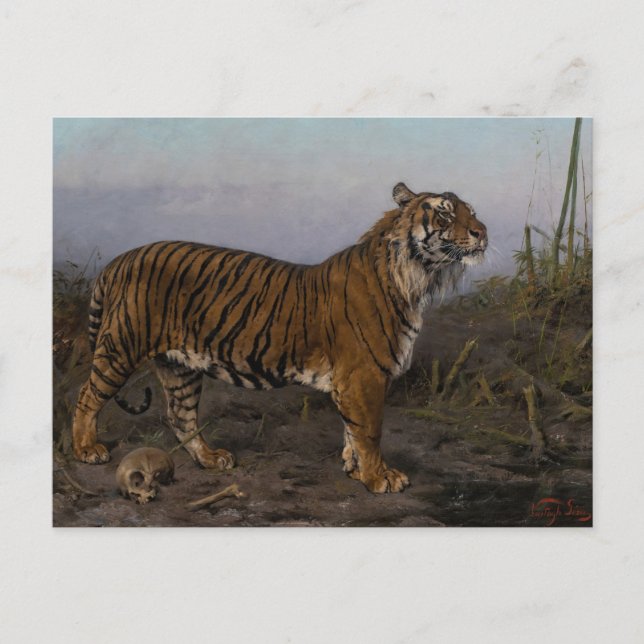 Royal Tiger by Geza Vastagh Postcard (Front)