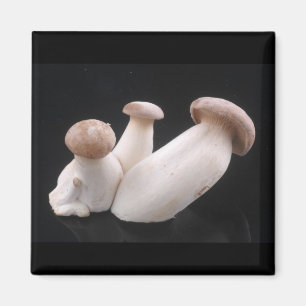 Royal Trumpet Mushroom Magnet