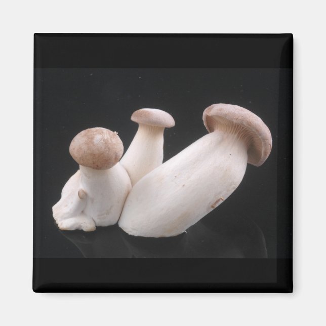 Royal Trumpet Mushroom Magnet (Front)