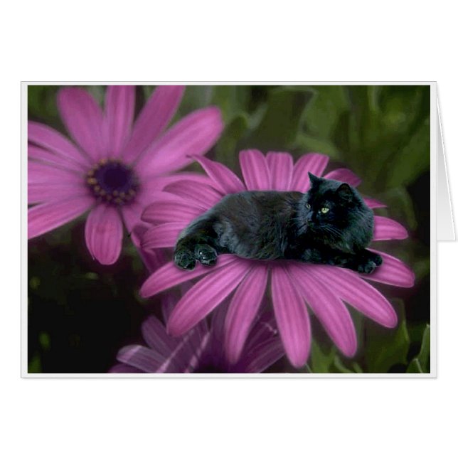 Royalty (Front Horizontal)