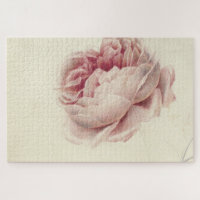 Roze Roos (1792) – Timeless Vintage Botanical Art
