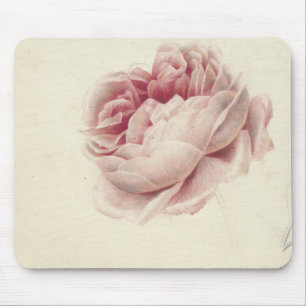 Roze Roos (1792) – Timeless Vintage Botanical Art Mouse Pad