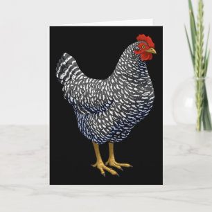 Rred Plymouth Rock Hen Chicken Lover  Card