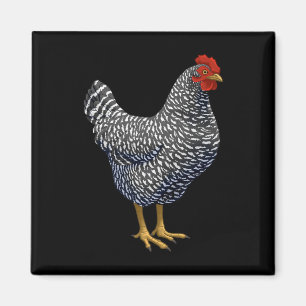 Rred Plymouth Rock Hen Chicken Lover Magnet