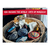 RSD Around The World | Cats of Morocco