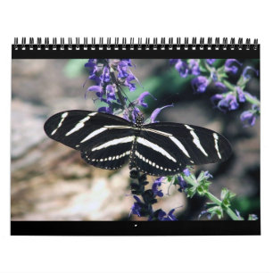 rSEANd - Nature Calendar